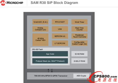 MicrochipƵSAM R30ϵͳװƷ